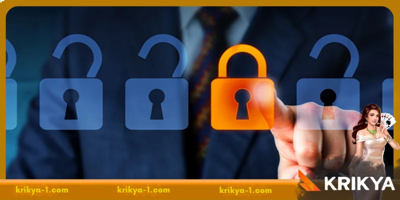 Understanding Krikya's Privacy Policy