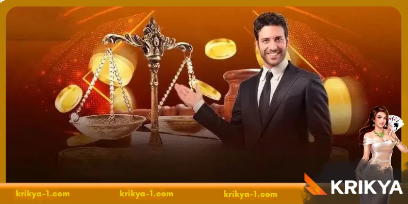 Understanding Krikya's Terms and Conditions